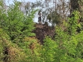 20220818_161154-Gross